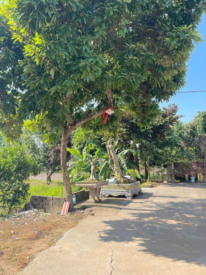 Đất nền Vân Phú, Việt Trì 116m² - Tiềm năng tăng giá!