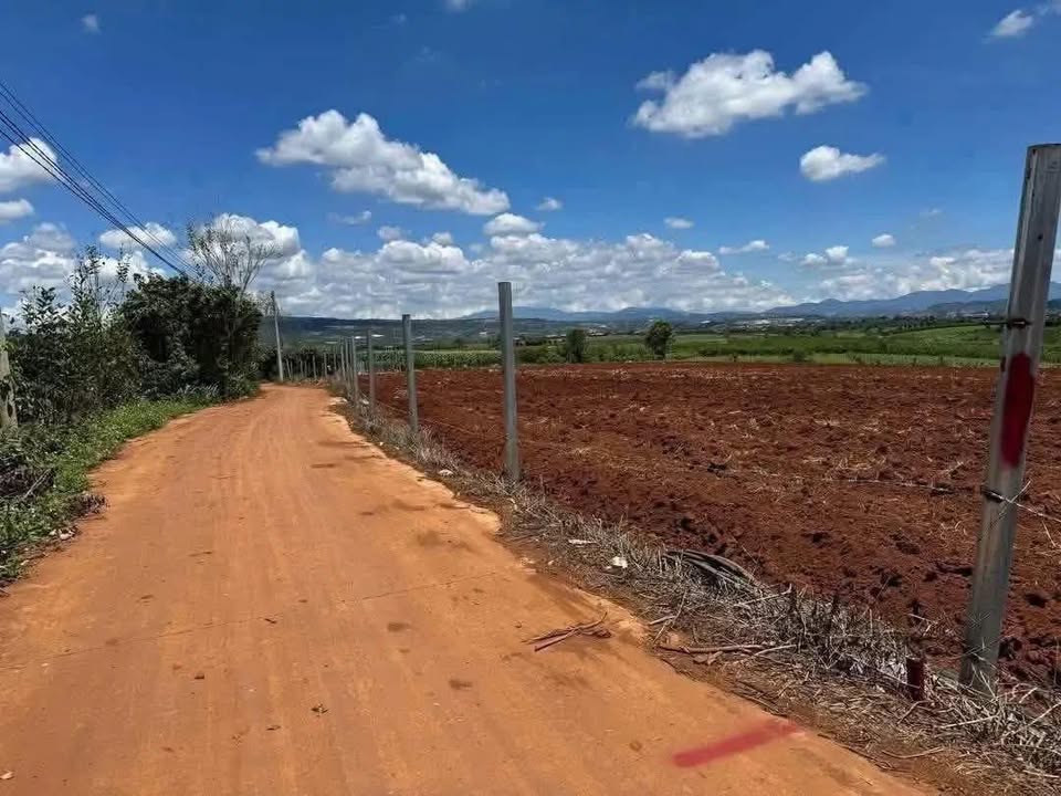 Đất nền Tân Hội, Đức Trọng 468m² chỉ 1.3 tỷ - Tiềm năng tăng giá!