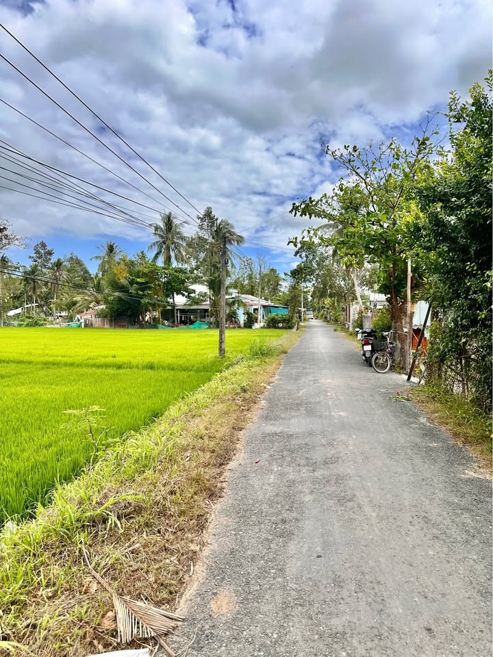 Đất Ruộng Trà Vinh 2974m² - Tiềm năng tăng giá vượt trội!