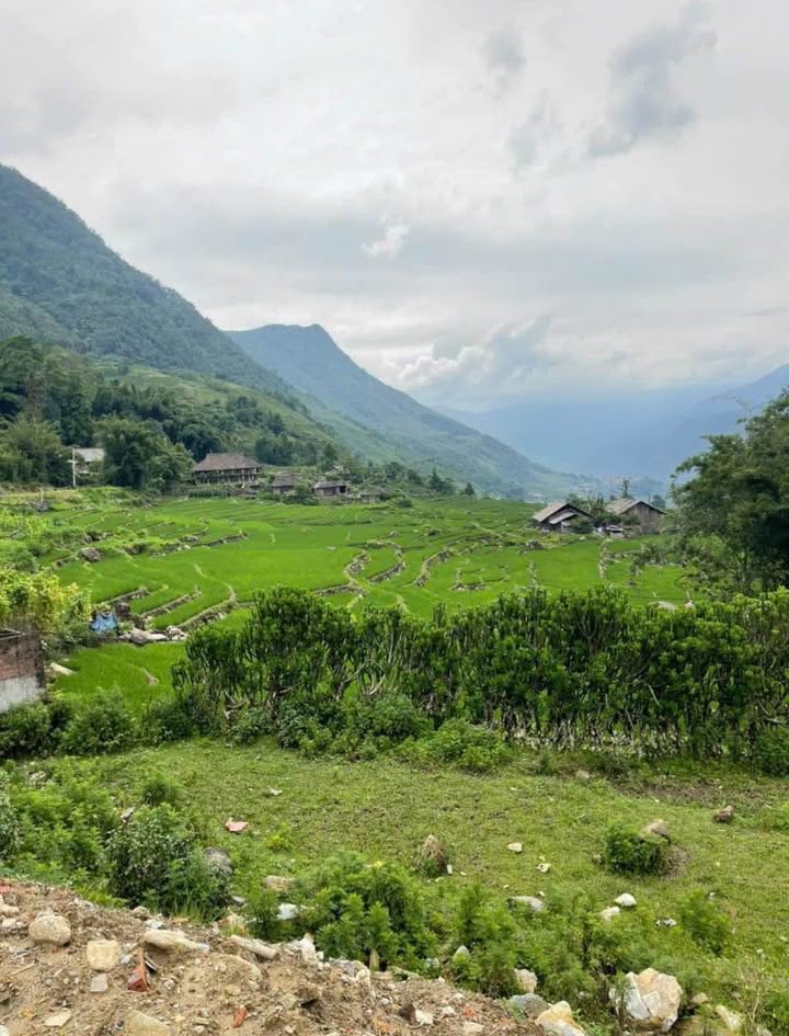 Đất nền Sapa 718m² Mường Hoa - Sổ đỏ chính chủ, view thung lũng!