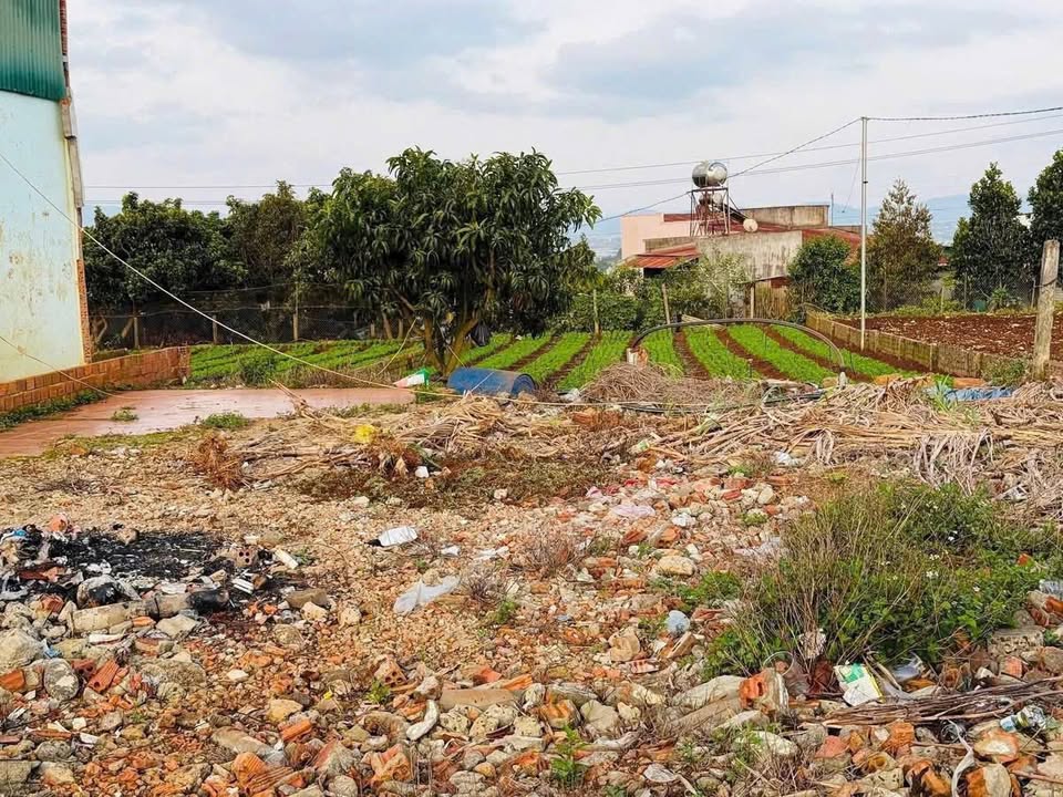 Đất Nền 500m² Xã Đơn Dương, Đức Trọng - Sổ Đỏ Vuông Vức, Giá 1.55 Tỷ