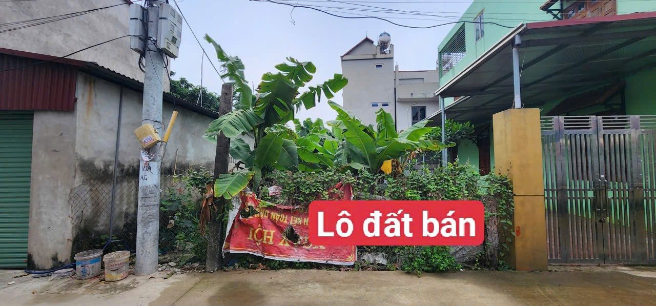 Đất đấu giá X6 Tiền Phong Mê Linh 86m² - Sổ đỏ sẵn sàng, ô tô vào nhà