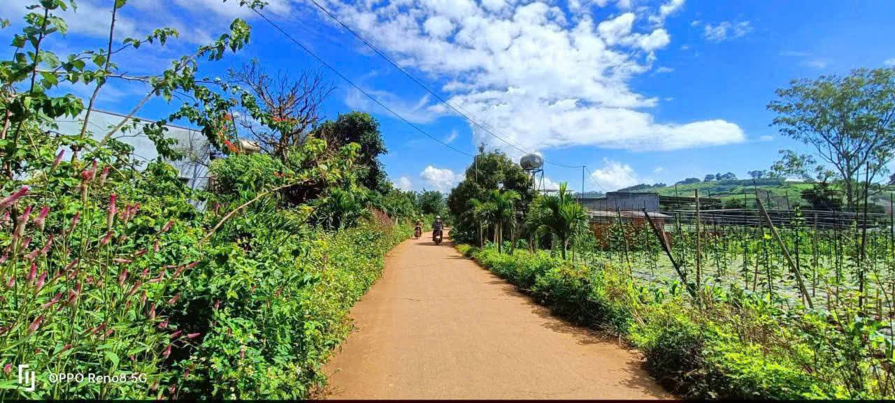 Đất nền Đơn Dương Lâm Đồng 1000m² giá 3 tỷ - Sổ đỏ chính chủ