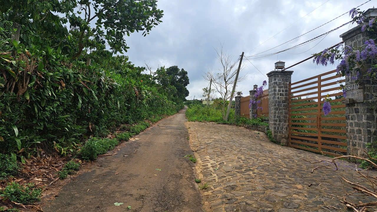 Đất Nam Phuong City 590m² giá 1.45 tỷ - Sổ đỏ chính chủ