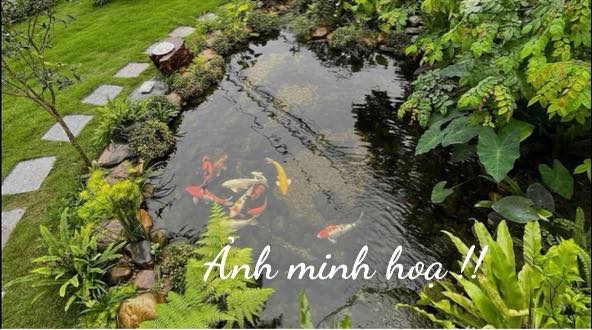 Bán Gấp Đất Vườn Ao Lúa 4200m² An Giang - Giá 1 Tỷ xxx