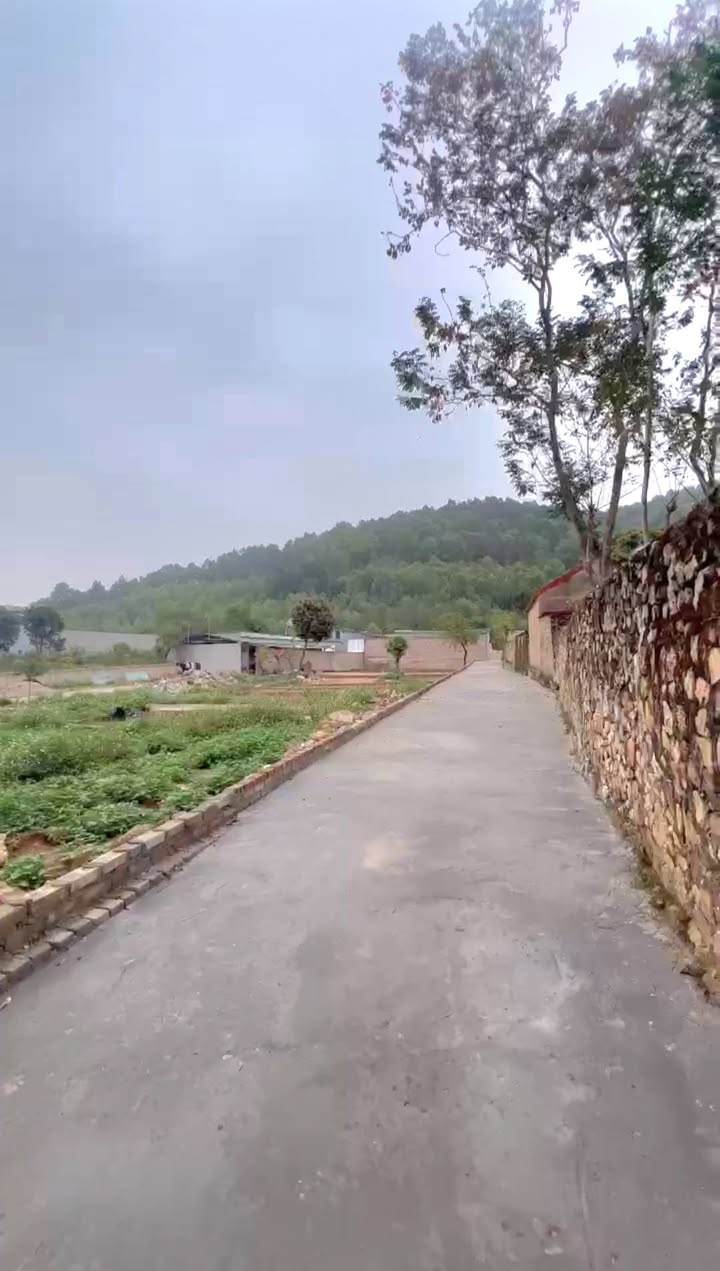 Đất nền Xã Sơn Trung, TP Bắc Ninh 61.5m² - Tiềm năng tăng giá!