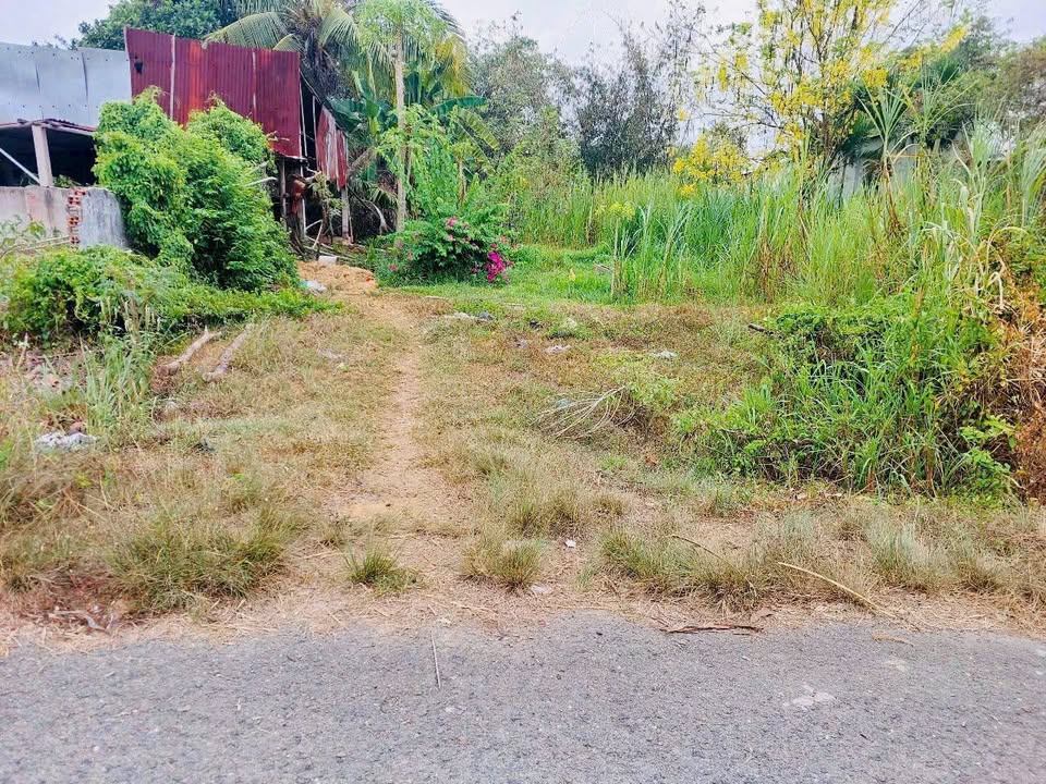 Đất Nguyễn Thị Thi Củ Chi 381m² 2,8 tỷ sổ hồng riêng