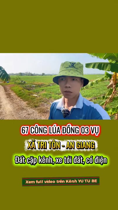 Đất Lúa Tri Tôn, An Giang 6.7ha giá 9.38 tỷ - Dòng tiền ổn định!