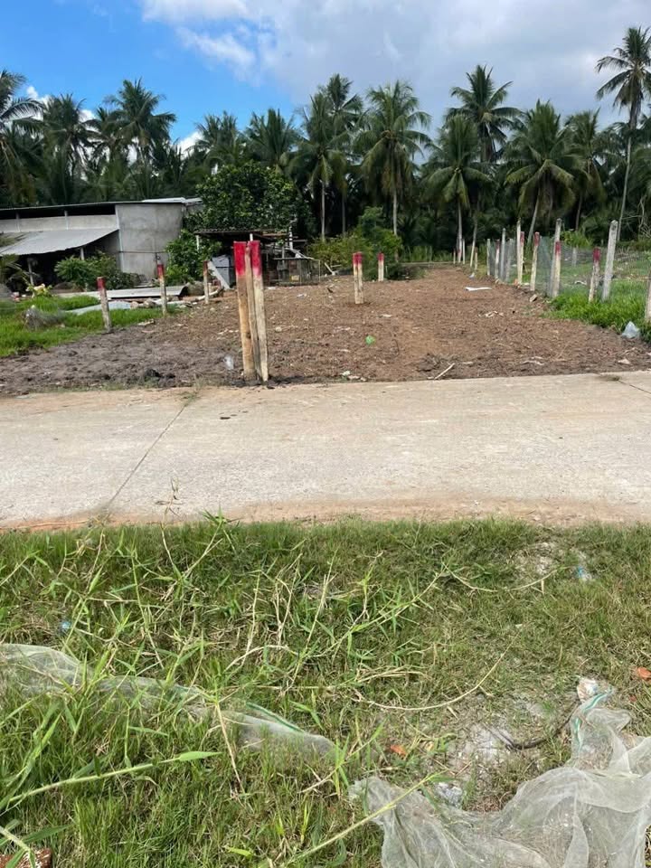 Đất nền Chợ Gạo 230m² giá 390 triệu - Sổ đỏ chính chủ!