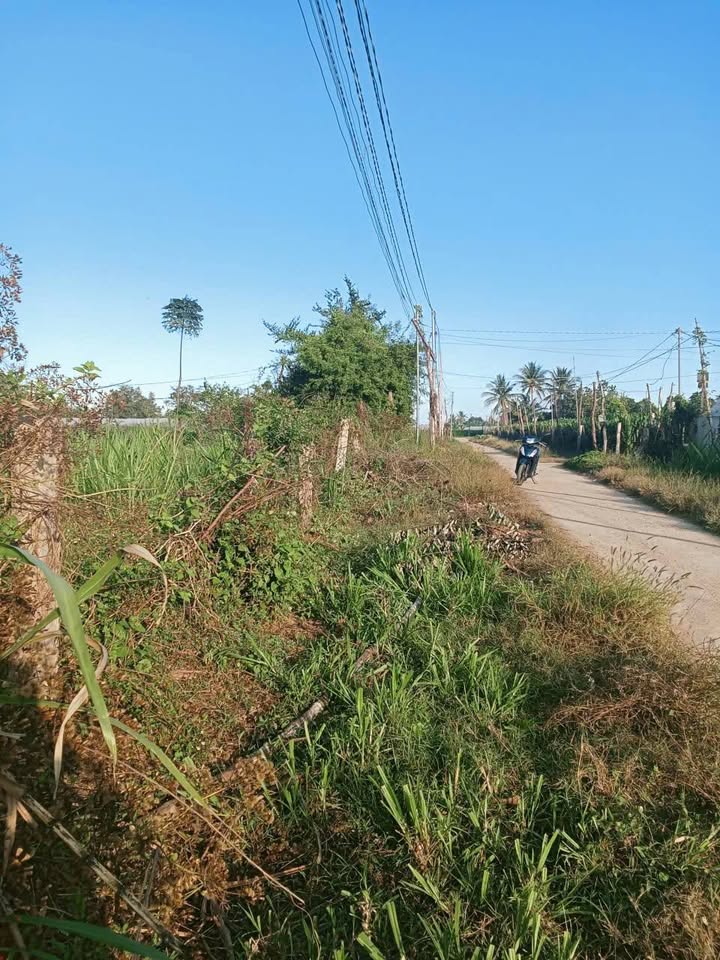 Bán Đất Vườn Ninh Thuận 750m² - Sổ Đỏ Chính Chủ, Giá 390 Triệu