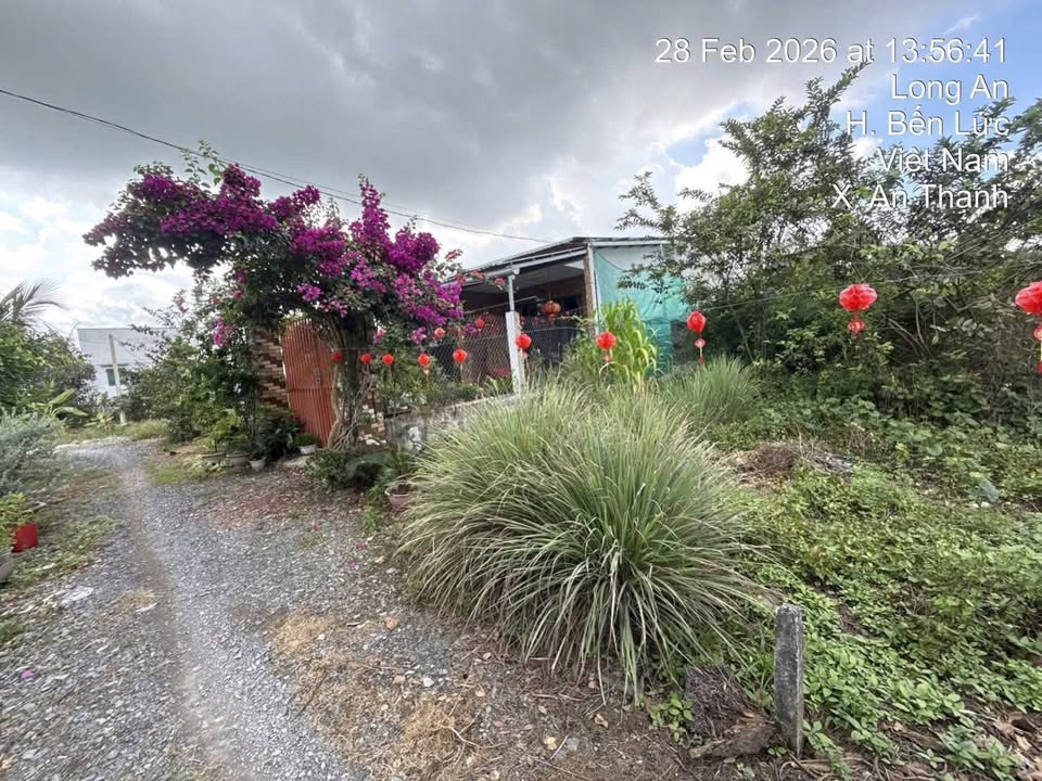 Đất thổ 150m² Bến Lức, Long An - Sổ hồng sẵn, 800 triệu