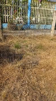 Đất nền An Phú, Củ Chi 690m² - Sổ hồng chính chủ, công chứng ngay!