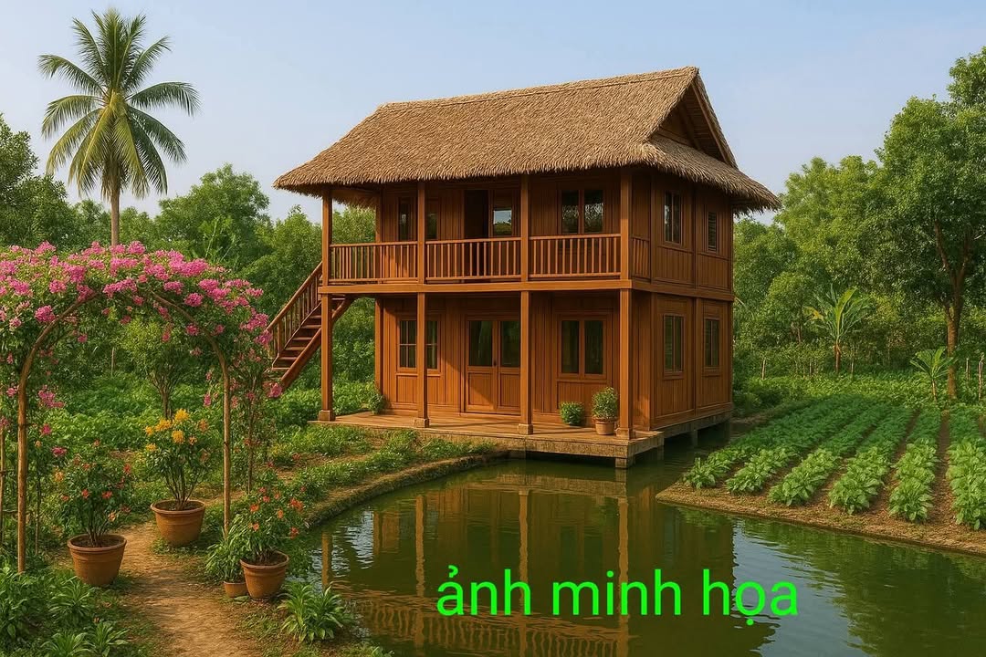 Bán Đất Vườn An Giang 501m² Sổ Đỏ - Vườn Nhãn Trĩu Quả