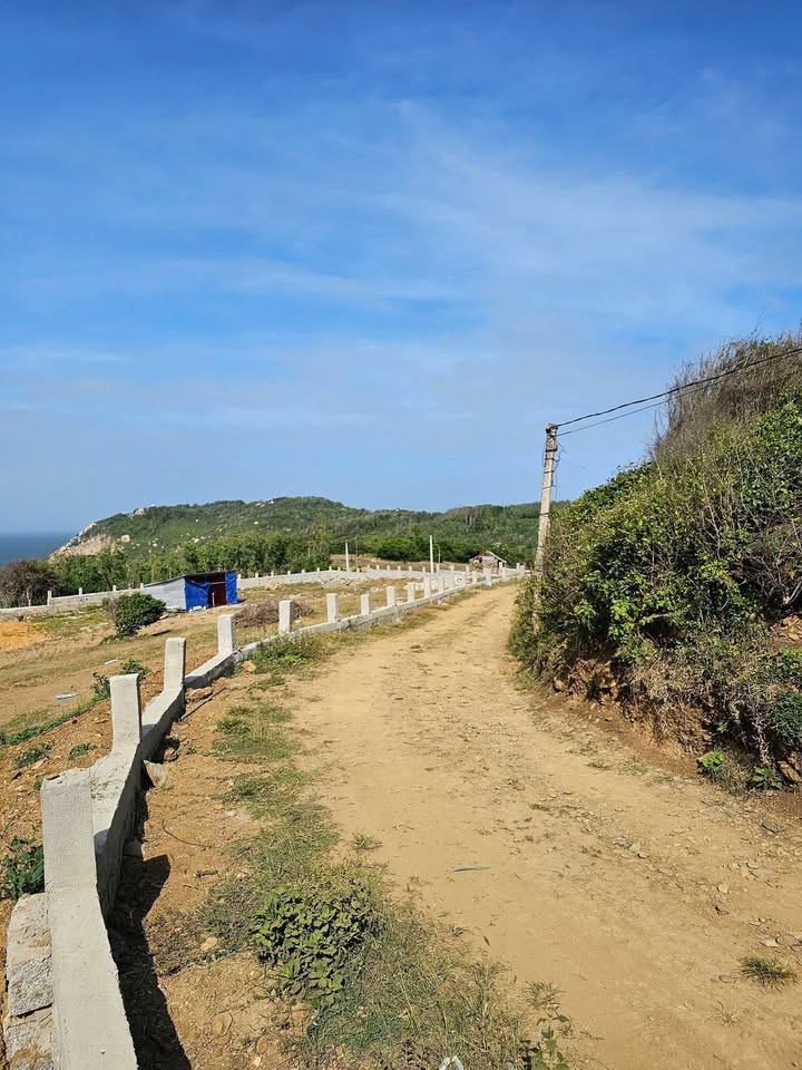 Đất nền Đồi Cổ Thạch, Phú Yên 3312m² - Tiềm năng tăng giá vượt trội!