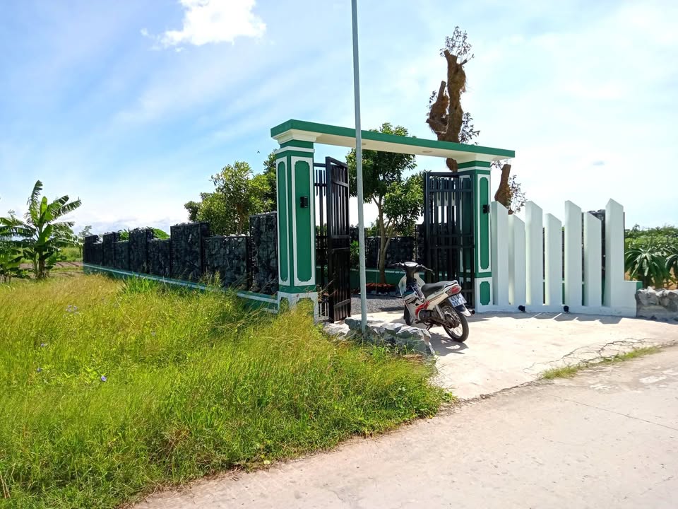 Bán Gấp Vườn Mini 135m² Đồng Tháp - Sổ Đỏ Sẵn Sàng