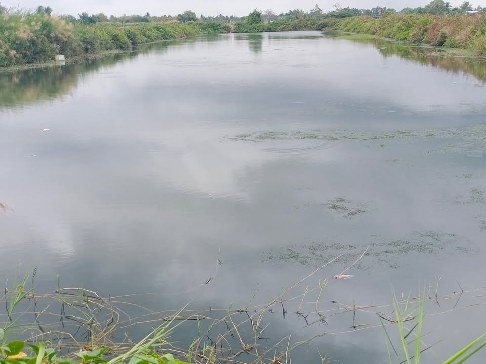 Đất 1ha Vĩnh Châu Sóc Trăng – 9 triệu/năm – Tiềm năng lớn!