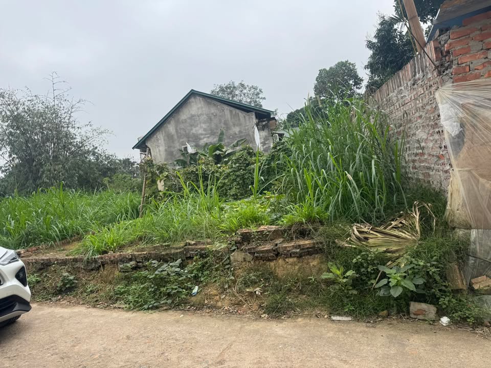 Đất nền Hướng Đạo, Tam Dương 83m² - Sổ đỏ chính chủ, tiềm năng sinh lời