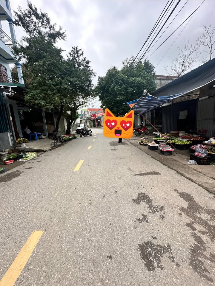 Đất Kinh Doanh Mặt Tiền Chợ Hữu Bằng, Vĩnh Phúc - 89m² Giá Tốt