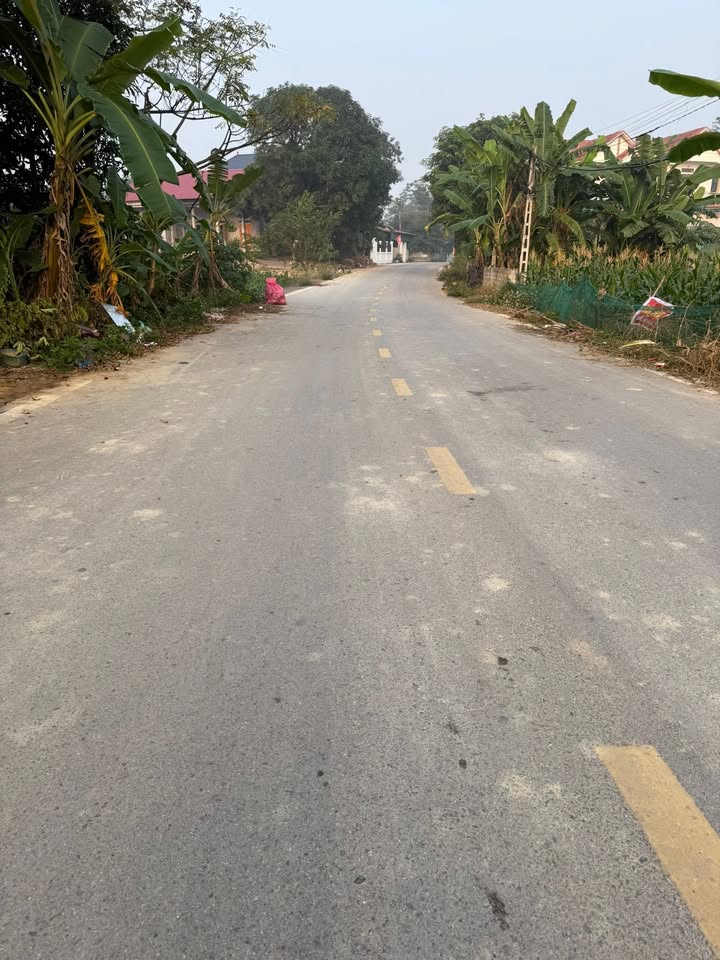 Đất nền Tam Sơn Phú Thọ 107m² giá 1.3 tỷ - Tiềm năng tăng giá cao!