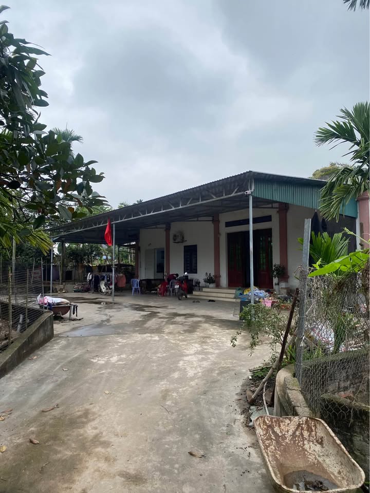 Đất nền Phường Trần Hưng Đạo, Hải Phòng 1500m² - Đất thổ cư 100%