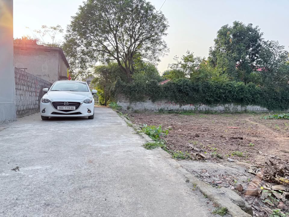 Đất nền Tràng An Bình Lục 125m² - Sổ đỏ chính chủ!