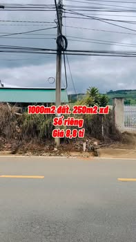 Đất nền Đường 725 Đà Lạt 1000m² giá 8.6 tỷ - Sổ đỏ chính chủ!