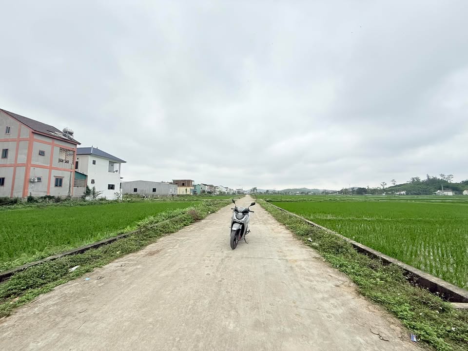 Đất nền Xã Diễn Mỹ, Diễn Châu 275m² - Tiềm năng tăng giá vượt trội!