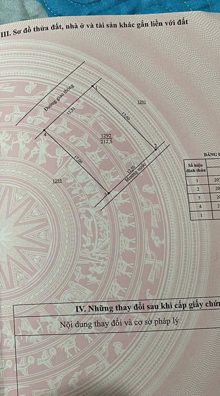 Đất Đỉnh Bàn, Hà Tĩnh 212m² Sổ Đỏ - Cơ Hội Đầu Tư Lâu Dài