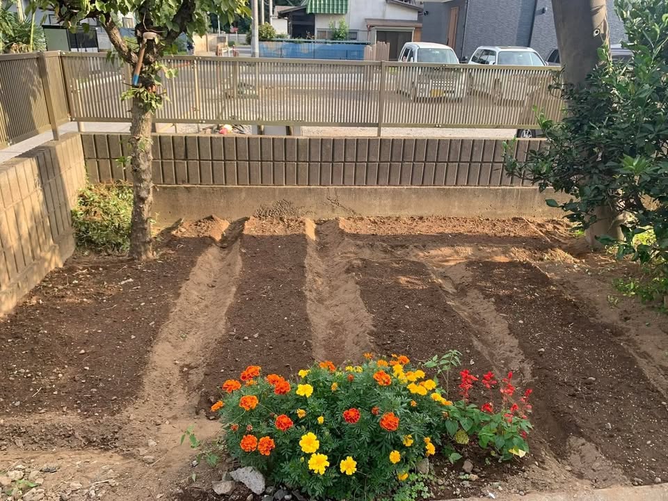 Nhà riêng Ngõ 2 Nam Trung, Tiền Hải 200m² - Ô tô vào tận nhà!