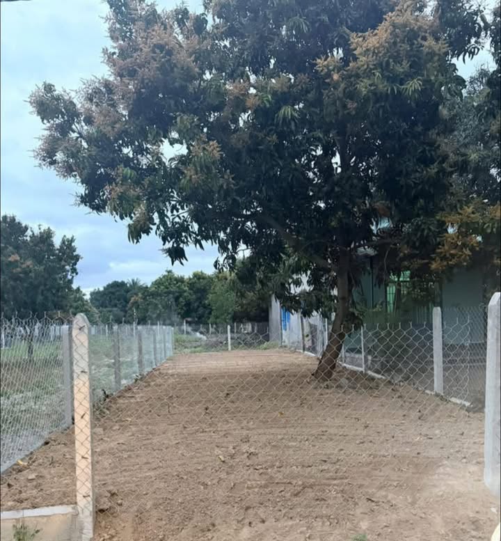 Đất Vĩnh Thái Cam Lâm 126m² Sổ Đỏ Full Thổ Cư - Giá 1.3 Tỷ