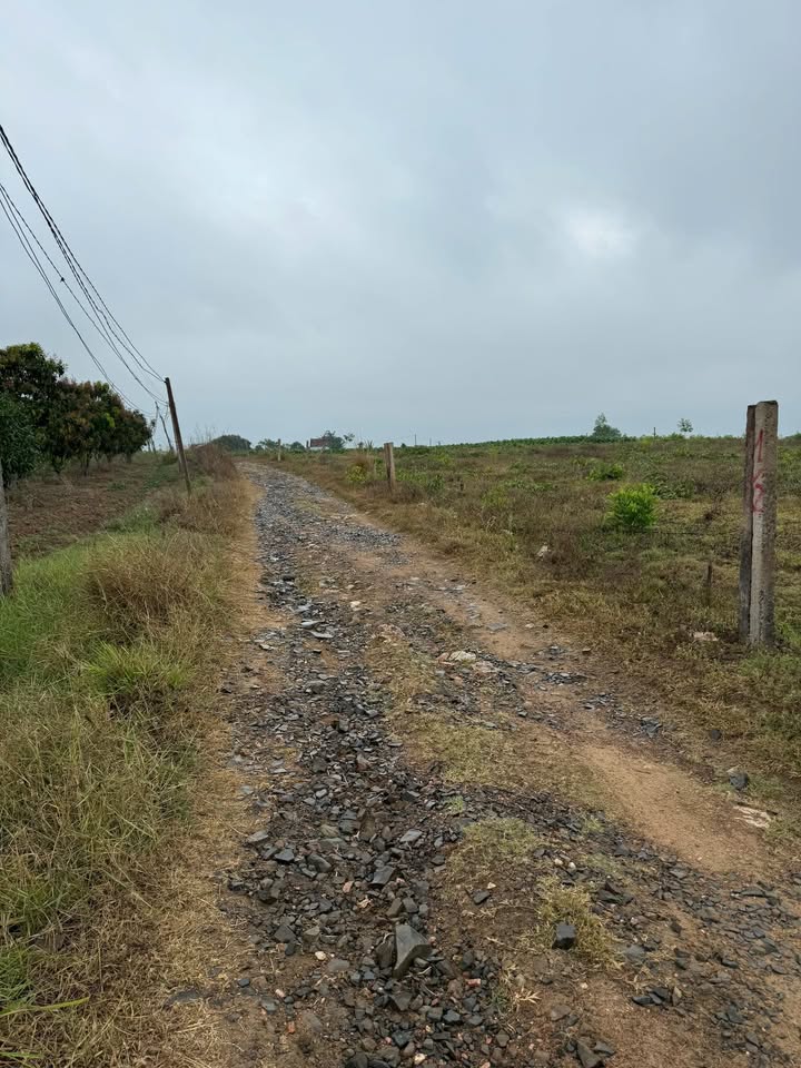 Đất 108m² full thổ cư tại Ninh Hòa, Khánh Hòa - Giá 1.39 tỷ chốt nhanh