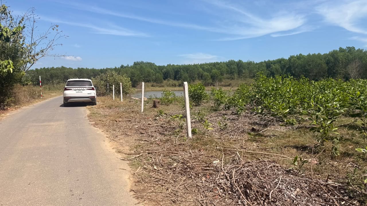 Đất nền Diên Lâm, Diên Khánh 500m² giá 350 triệu - Đường to ô tô