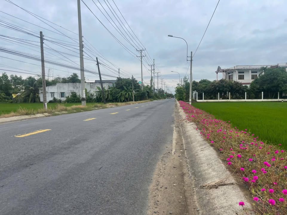 Đất Cần Đước Long An 5500m² - Thổ cư 100%, liền kề KCN, sổ đỏ