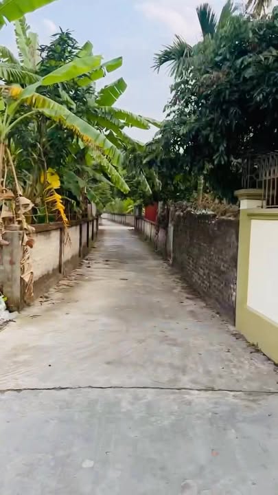 Đất nền Thôn Đa Khê, Thanh Hà - 100m², Sổ đỏ, Giá từ 700 triệu