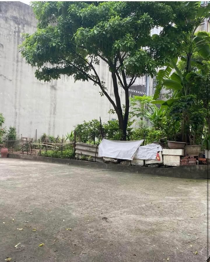 Đất nền Việt Trì 95m² lô góc 2 mặt tiền - Tiềm năng tăng giá!