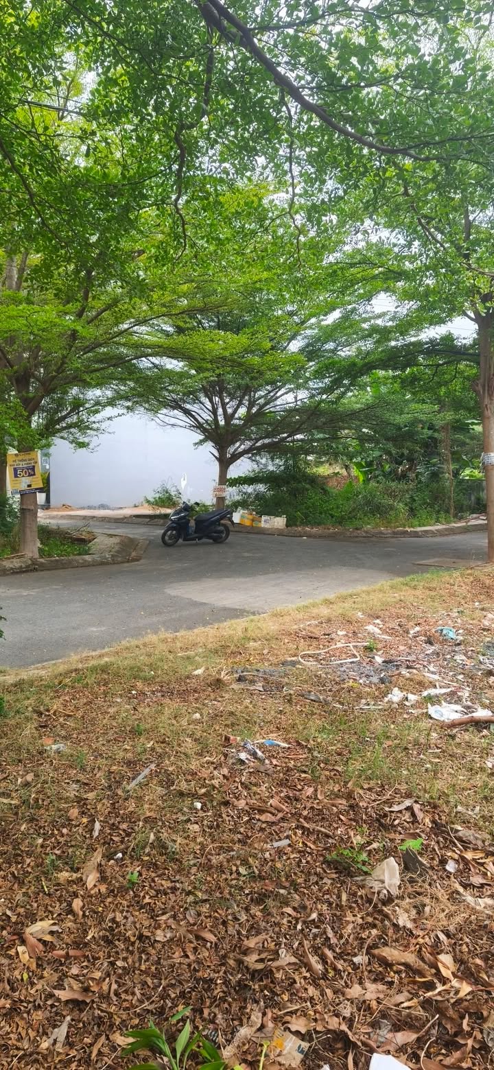 Đất Mặt Tiền Nguyễn Văn Tạo, Nhà Bè - 80m², 3.05 Tỷ, Kinh Doanh Tốt