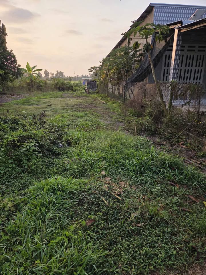 Đất nền 145m² Hữu Thạnh, Đức Hòa, Long An - Sổ hồng chính chủ