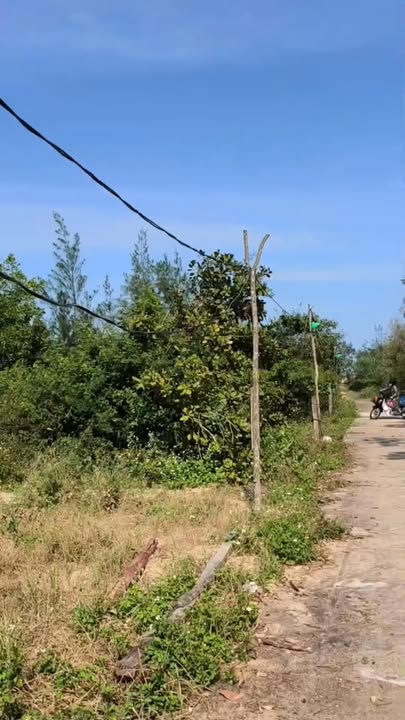 Đất nền Bình Minh 5600m² - Sát biển 50m, đầu tư sinh lời!