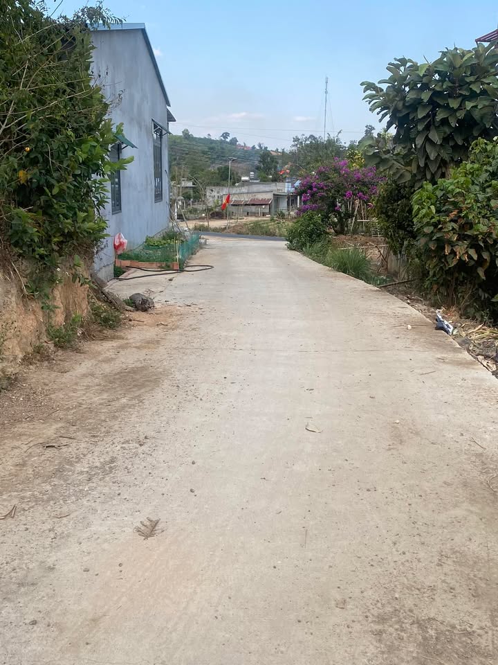 Đất nền Tân Lợi Đà Lạt 225m² - Sổ đỏ chính chủ, xây dựng ngay!