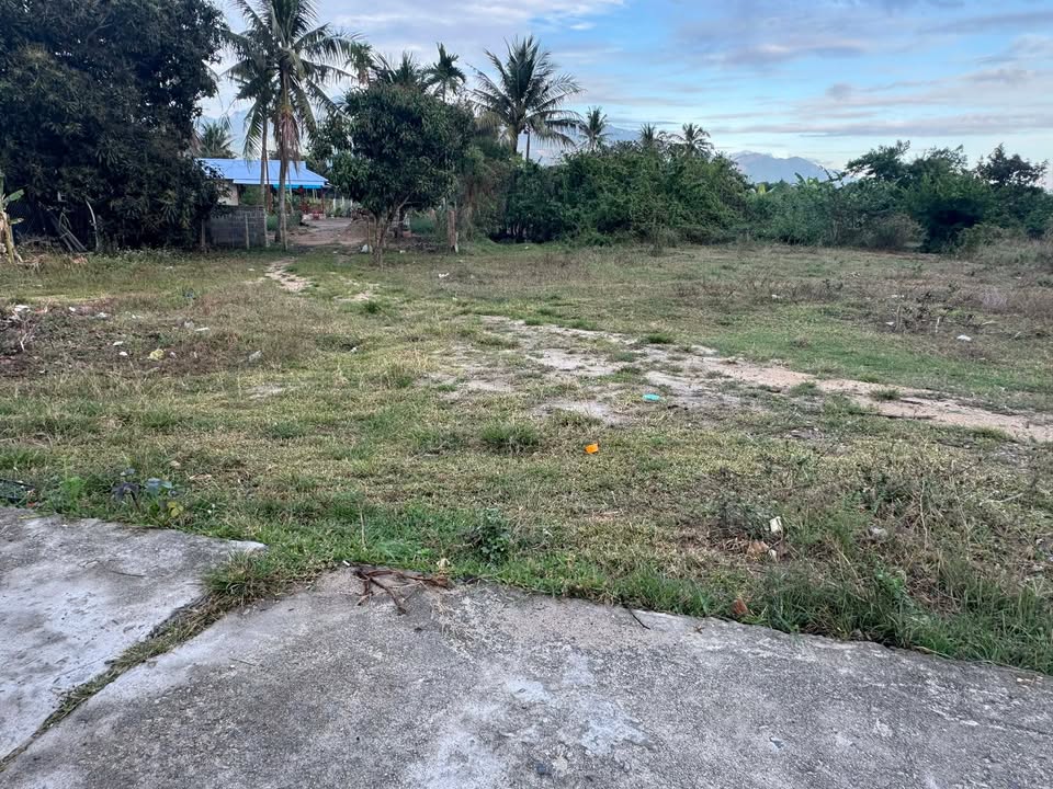 Đất Nền Cam Lâm, Khánh Hoà - 235m² Sổ Hồng Sẵn Sàng - Giá 1 Tỷ