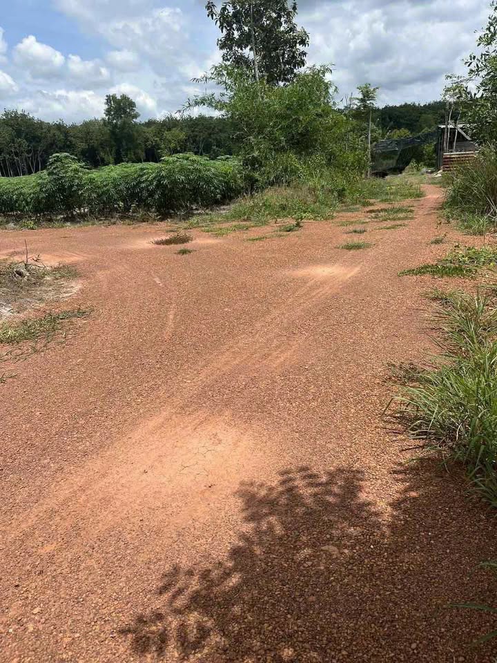 Bán Đất Nền 10.000m² Huyện Dầu Tiếng - Giá Tốt 2 Tỷ