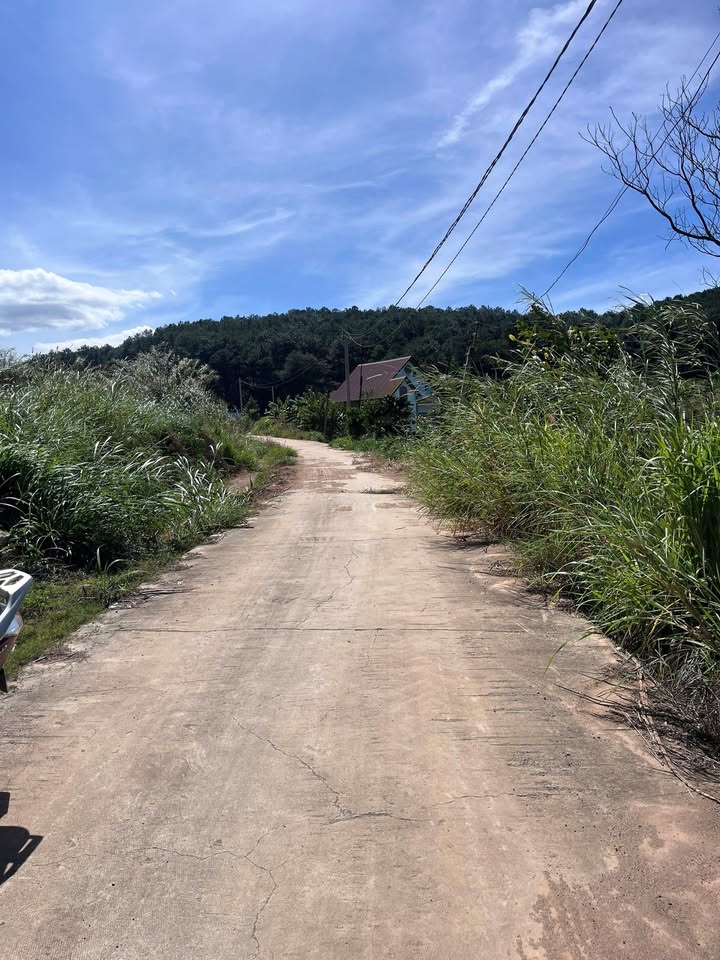 Đất Gia Lâm Lâm Hà 600m² giá 1.3 tỷ - Nghỉ dưỡng lý tưởng