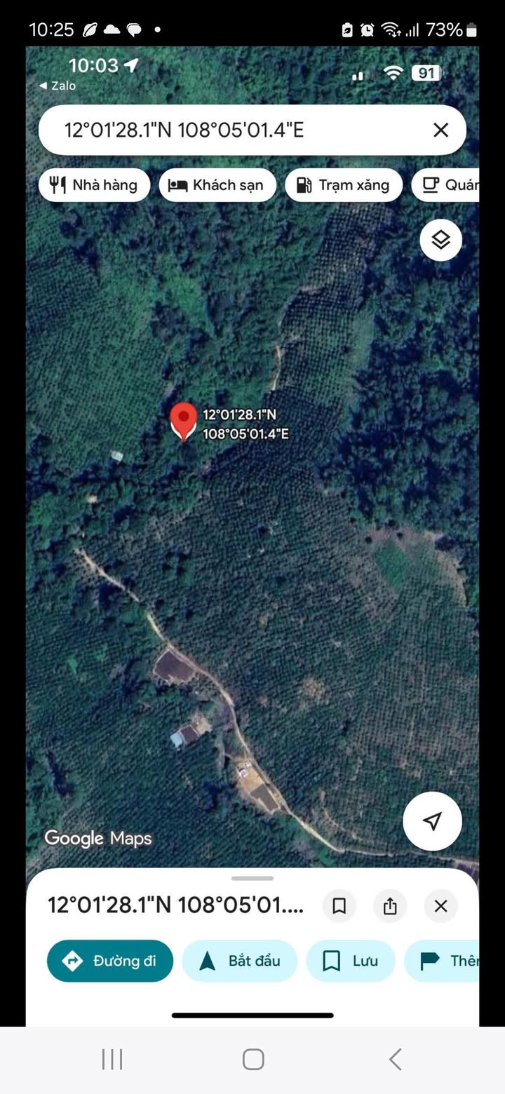 Đất Vườn Đam Rông 2ha - Sinh Thái Xanh, Giá 200 Triệu