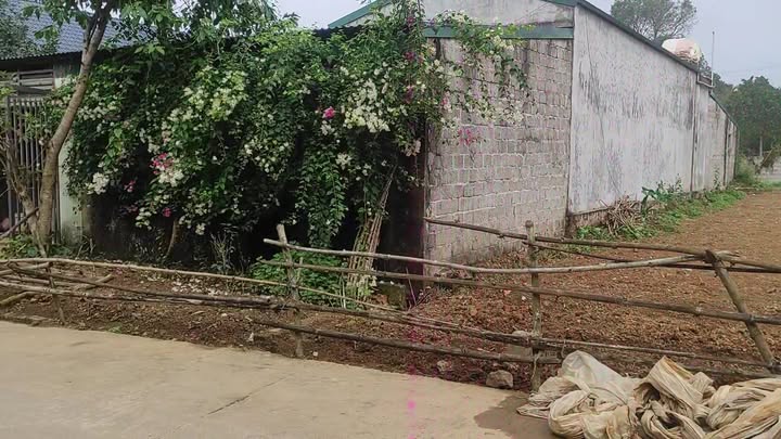 Đất nền Xích Thổ Ninh Bình 200m² 800 triệu - Sổ đỏ chính chủ