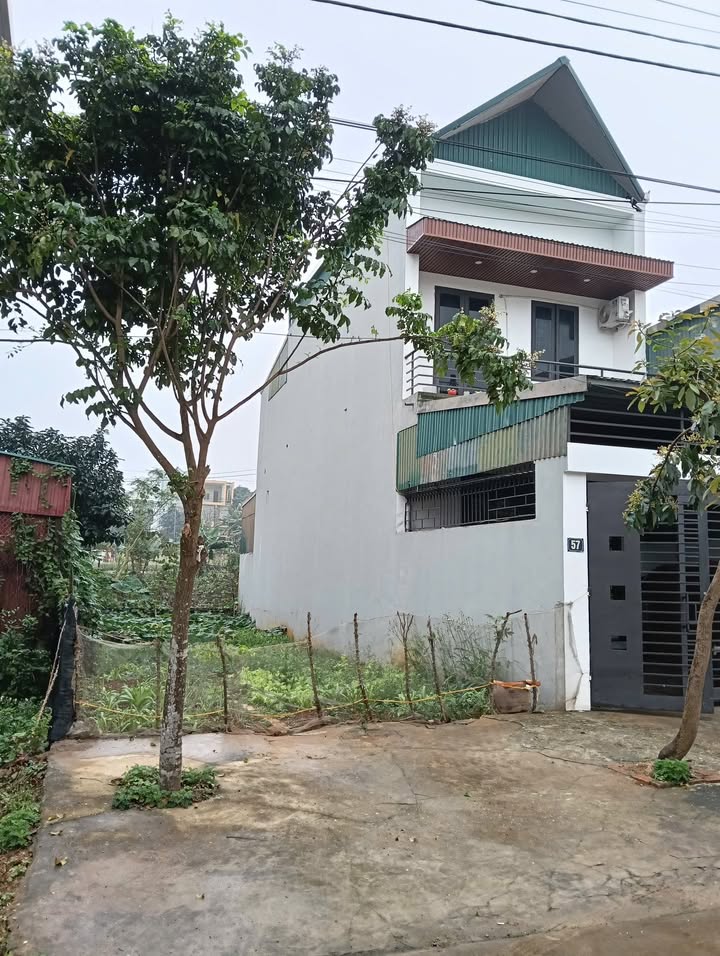 Bán Đất Nền Phường Bắc Sơn Tam Điệp 100m² - Sổ Đỏ Sẵn Sang Tên