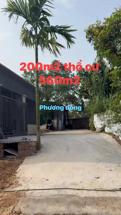 Đất nền Phường Âu Cơ, Phú Thọ 586m² - Tiềm năng tăng giá!