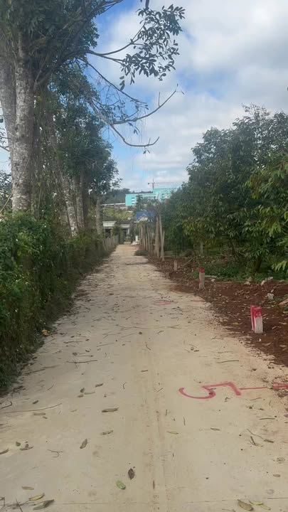 Đất nền hẻm Âu Cơ Buôn Hồ 150m² giá 1.35 tỷ - Sổ hồng sẵn sàng