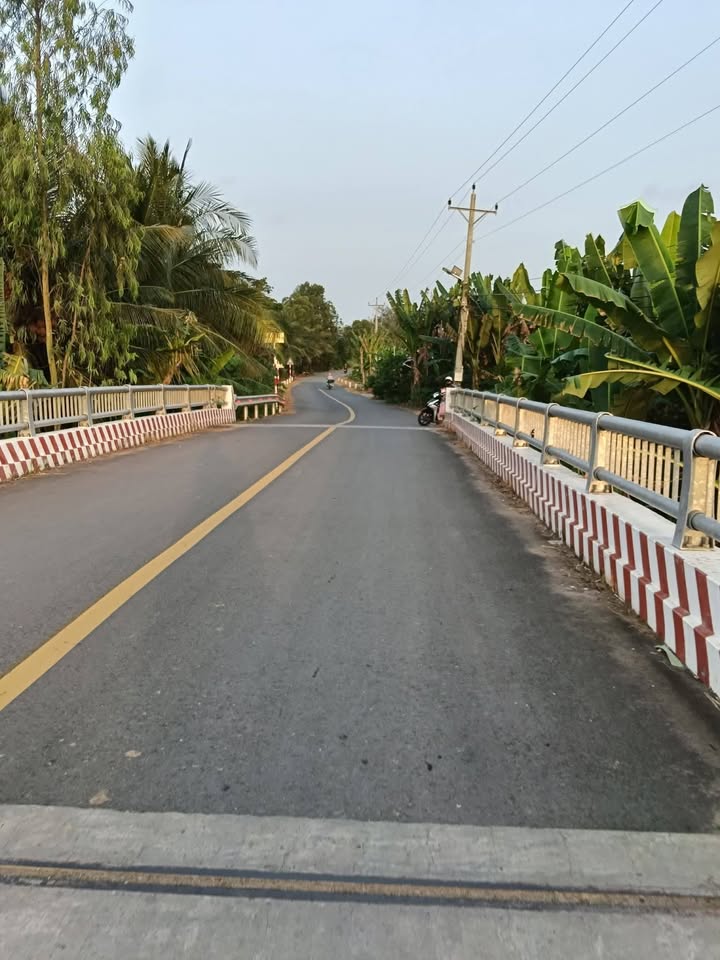 Đất Vườn 1281m² Bến Tre - View Sông Mát Lạnh, Sổ Đỏ Chính Chủ