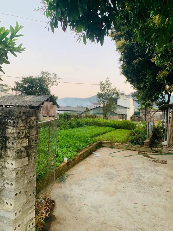 Đất nền Thôn 3 Pom Lót 353m² - Sổ đỏ chính chủ, tiềm năng tăng giá!