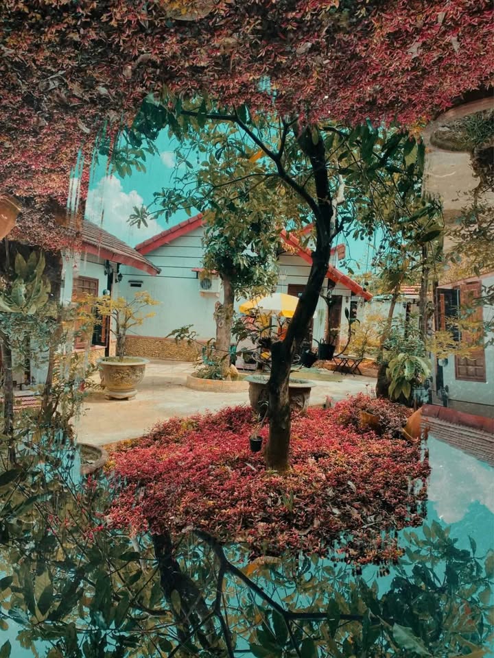 Mini House Vĩnh Thạnh, Cần Thơ - Không gian xanh mát, sẵn sàng ở ngay!